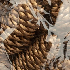 Casa Viva Bolsa de 18 piezas piñas doradas Outlet