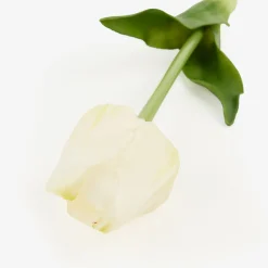 Casa Viva Flor artificial tulipán blanco 48cm Hot