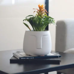 Casa Viva Macetero de cerámica blanco Ajanu Ø11cm Hot