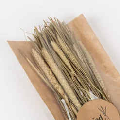 Casa Viva Ramo de ramas secas natural Discount